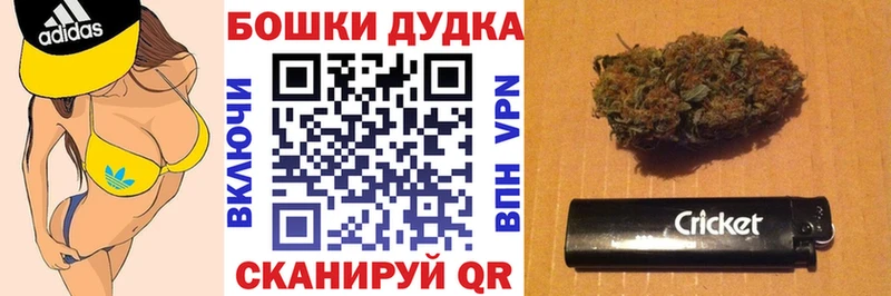 Купить где Никольское МАРИХУАНА сатива